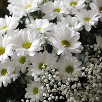 Ирана Набиева