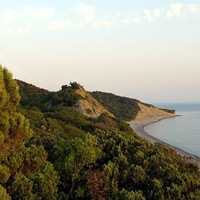 Виталий Ильин