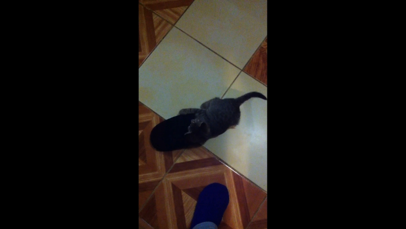 Пася
