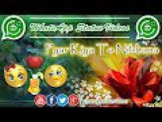 Pyar kiya to Nibhana (Female)| WhatsApp 30 Sec Status | WhatsApp Status Videos