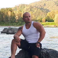 Виталий Дубровин