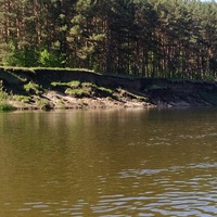 Сергей Песков | 