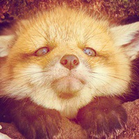 Лидия Чернышева | 