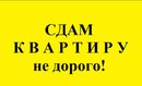 Объявление от Ольга - фото №1