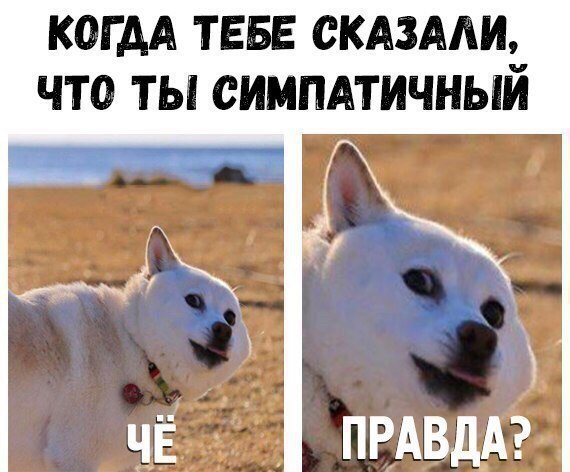 OsoMp_z_dYI.jpg