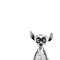 Женя Губанофф