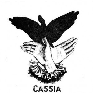 Cassia