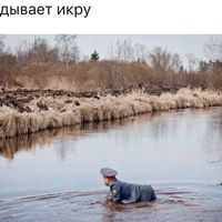 Владимир Геращенко | 