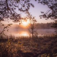 Светлана Знаменская