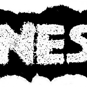 NES