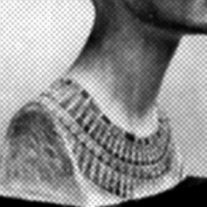 Patricia
