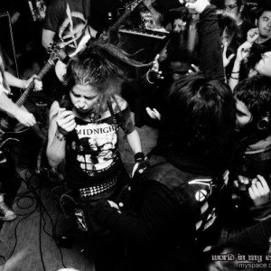 Agrimonia