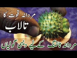 Timing Ki goliyan Churany wala Nuskha ویاگرہ سے ہمیشہ کےلیے جان چھرائیں