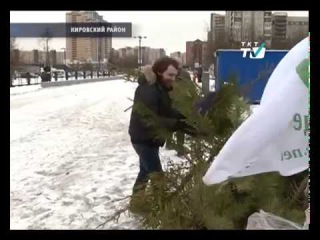 24.01.2017 В минувшие выходные в городе собирали колючие подарки