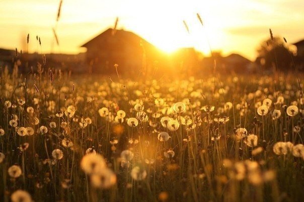Это так удивительно: каждое мгновение где то всегда восходит Солнце...
