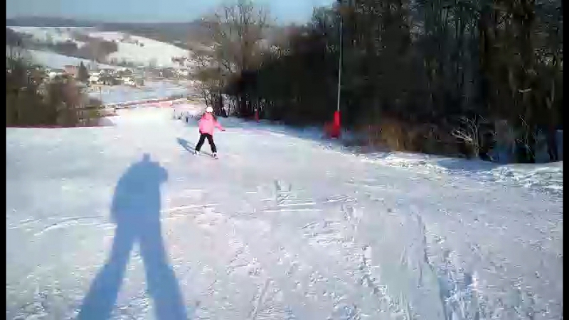 Лижі