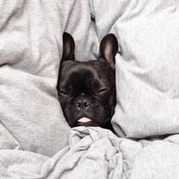 Анна Юферева