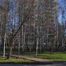 Объявление от Анастасия - фото №1