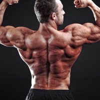 Евгений Долотов