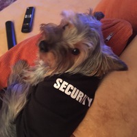 Наталия Забаранилова-Шейко