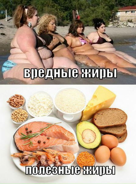 Добавь себе на стену и не забывай какие жиры вредные,а какие полезные