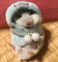 Екатерина Журавлёва
