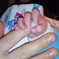 Фёдор Семереченко