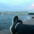 Аватар Игорь Швецов