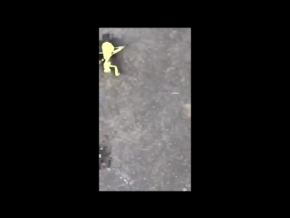 skateboarding with...Praying mantis
