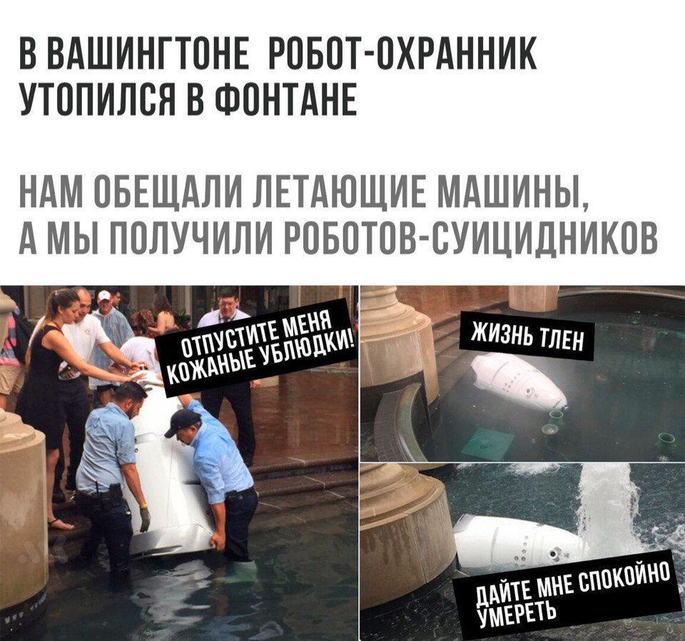 CyTDGoeHp7Y.jpg