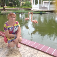 Галина Зотикова