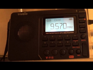 TIVDIO V-115 Radio FM/AM/SW World Band Receiver MP3 Player REC Recorder with Sleep Timer Black FM Radio Recorder F9205A