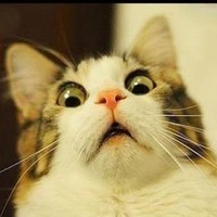 Гоша Гошев |