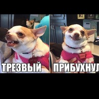 Фёдор Дригота