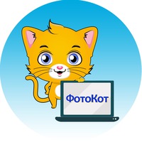 fotokot48