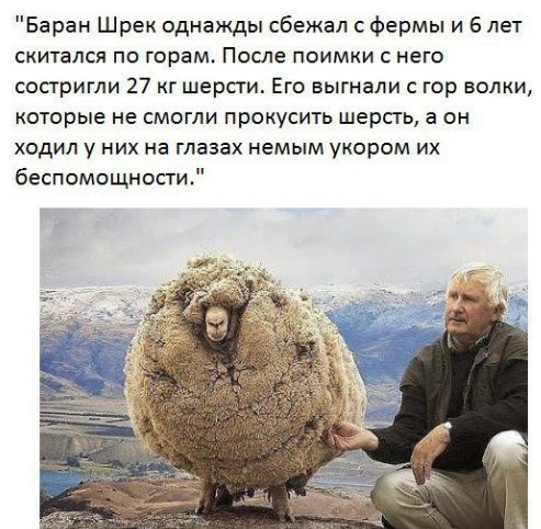 фотоприкол