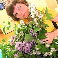 Светланка Андромеда