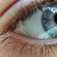 В-Поисках-Рая Широко-Шагая