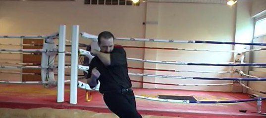 Видеокурс Основы Мастерства Вин Чун Юрия Кормушина