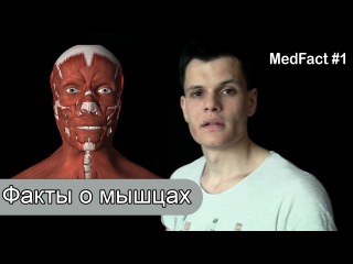 ТОП-5 МЕДИЦИНСКИХ ФАКТОВ О МЫШЦАХ