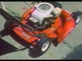 Торро, Торро, Торро! (Джош Беккер, Скотт Шпигель) 1981