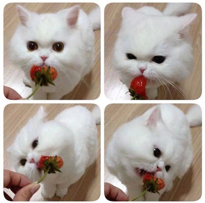 https://pp.userapi.com/c639719/v639719024/17d2e/Gu87ALy6Uls.jpg