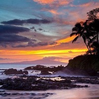 Ира Токарева | Новосибирск