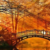 Анфиса Домнина  Александровна