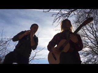 Woodnitza - Asterix and Obelix (Theme Song Tin Whistle & Acoustic Guitar)