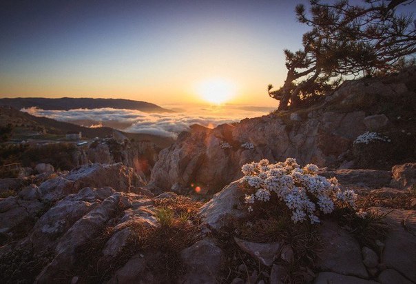 Гора Ай-Петри и море облаков, Крым
