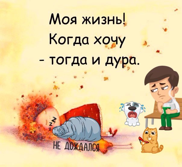 Моя жизнь когда хочу тогда и дура картинки