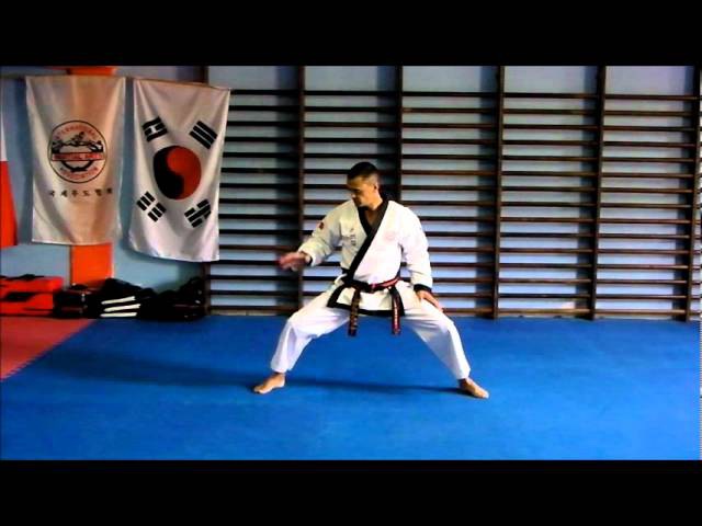 Basic stances in Tang Soo Do
