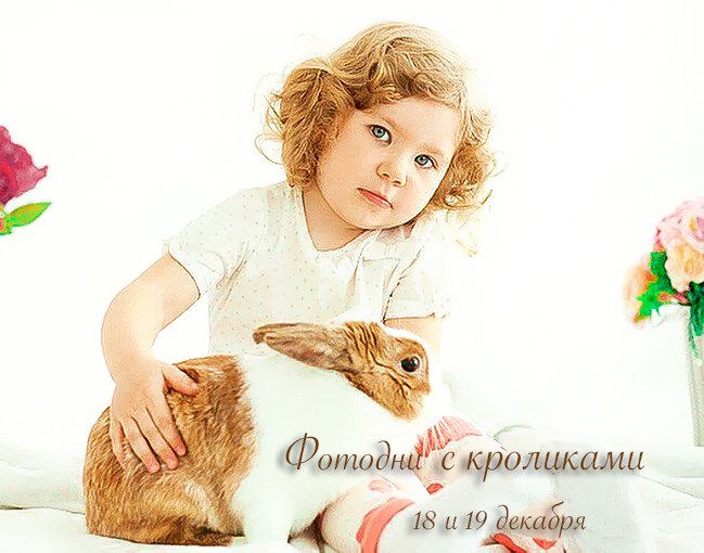 Афиша Волгоград Фотодни с Кроликами