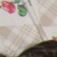 Алексей Максименко | Россошь